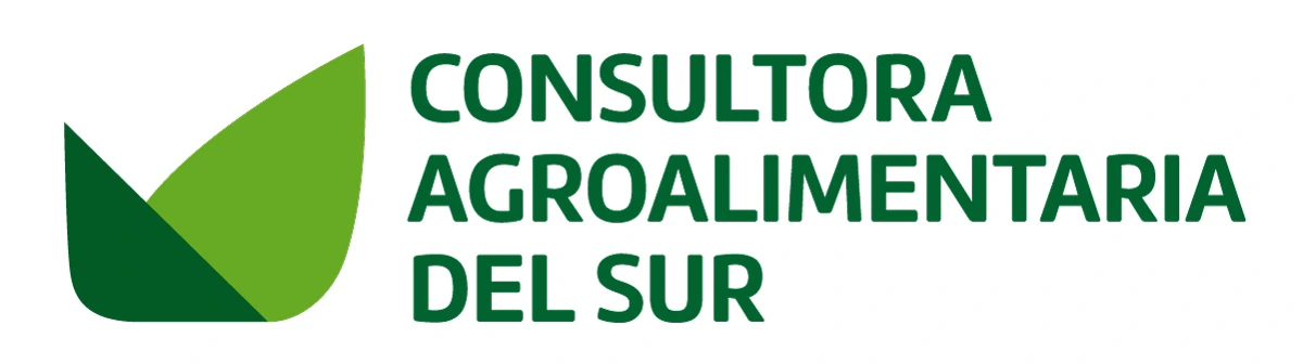 logo-consultoradelsur